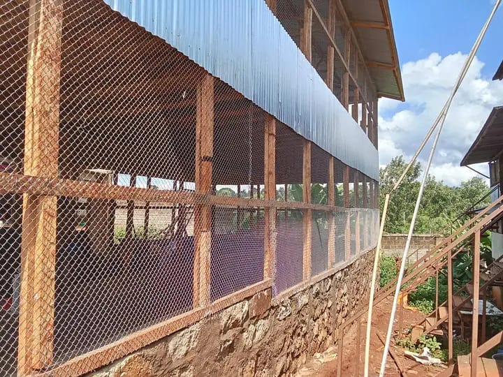 Critical success factors (CSFs) in open-sided poultry house construction