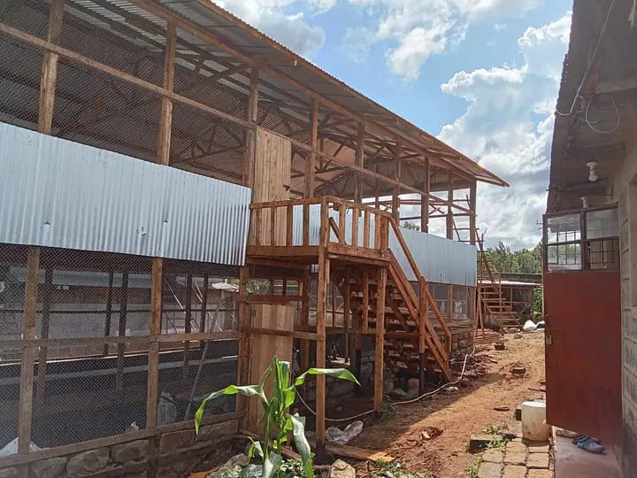 Factors Determining Types of House Structure to Construct